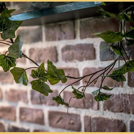 Appartement T3 I Cozy I Douvaine Exterior photo