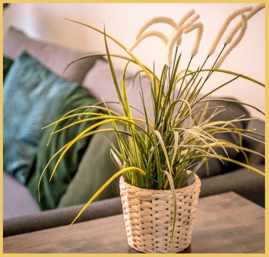 Appartement T3 I Cozy I Douvaine Exterior photo